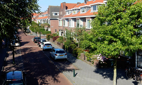 lex-van-leeuwen-taxaties-bloemen-vruchtenbuurt-denhaag